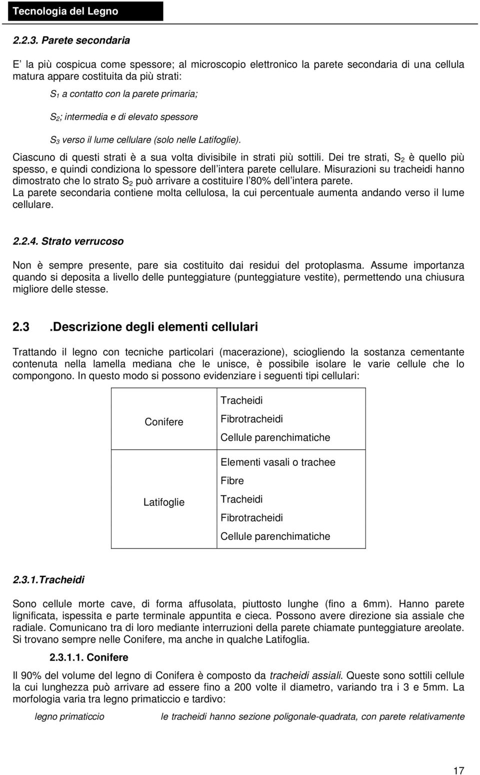 intermedia e di elevato spessore S 3 verso il lume cellulare (solo nelle Latifoglie). Ciascuno di questi strati è a sua volta divisibile in strati più sottili.