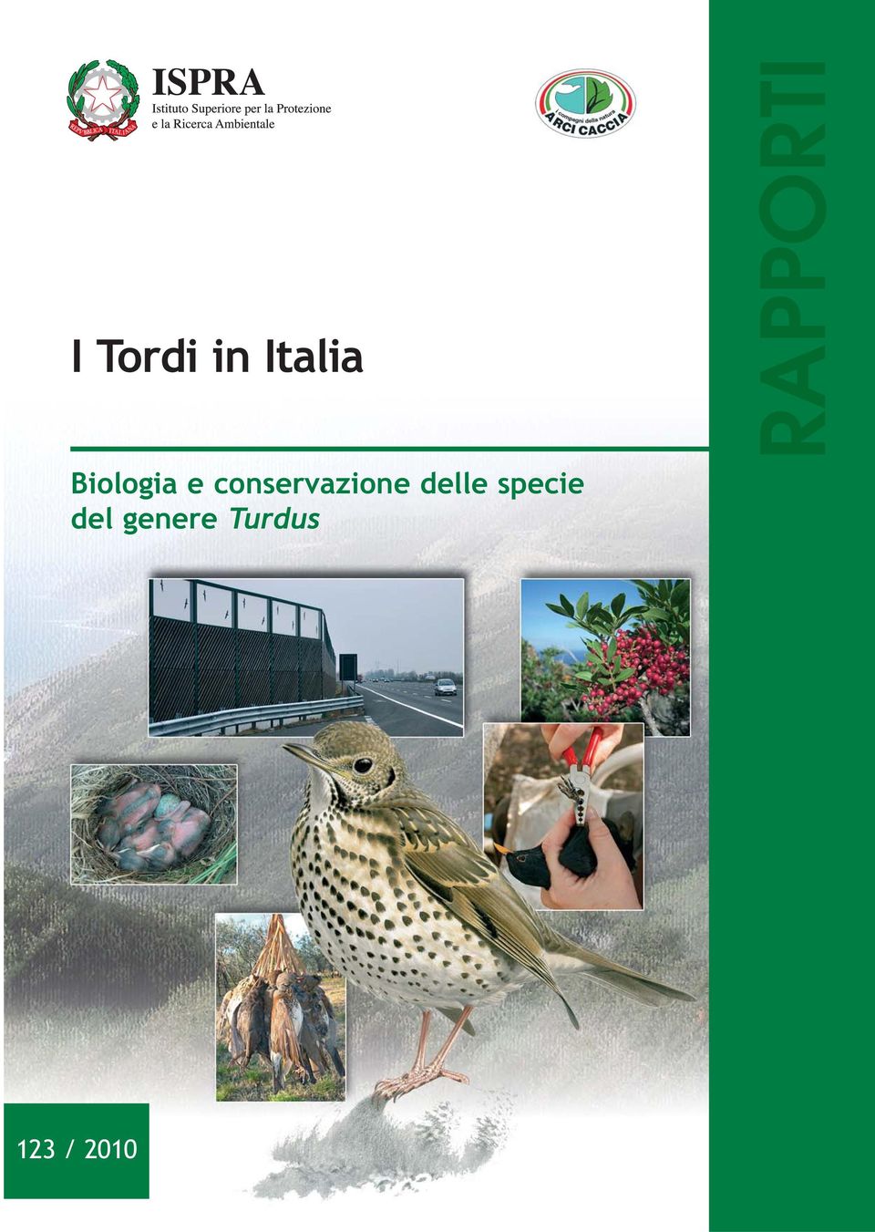 conservazione delle