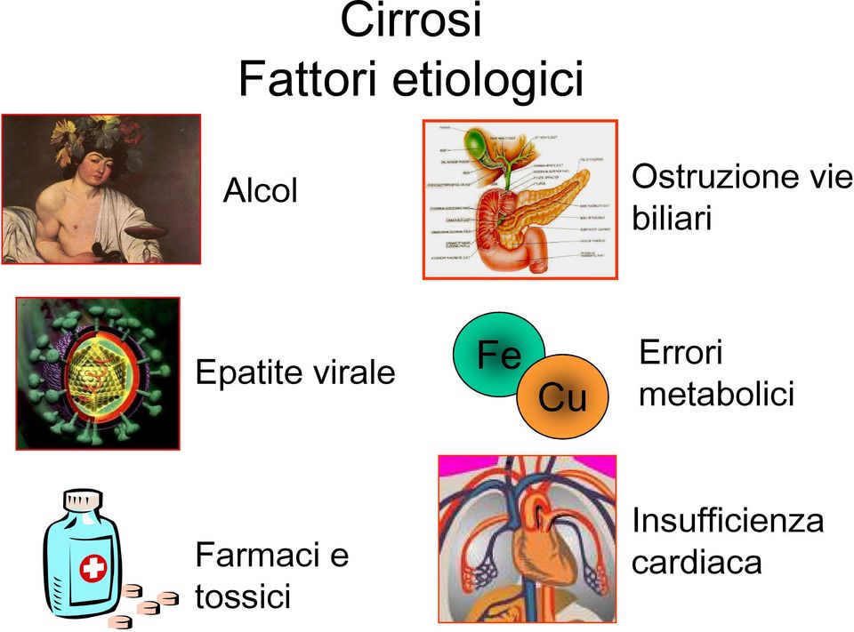 virale Fe Cu Errori metabolici