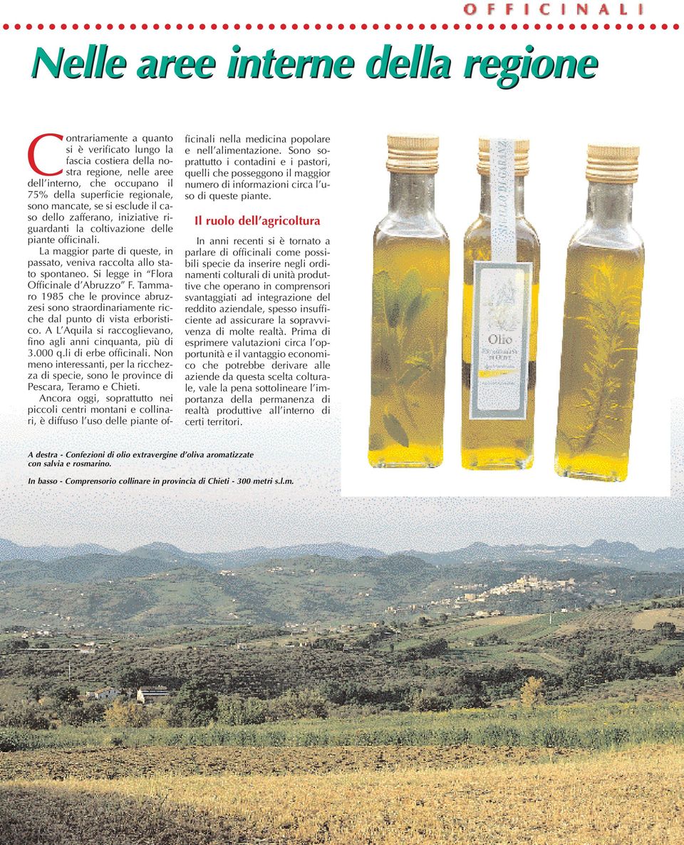 Si legge in Flora Officinale d Abruzzo F. Tammaro 1985 che le province abruzzesi sono straordinariamente ricche dal punto di vista erboristico.