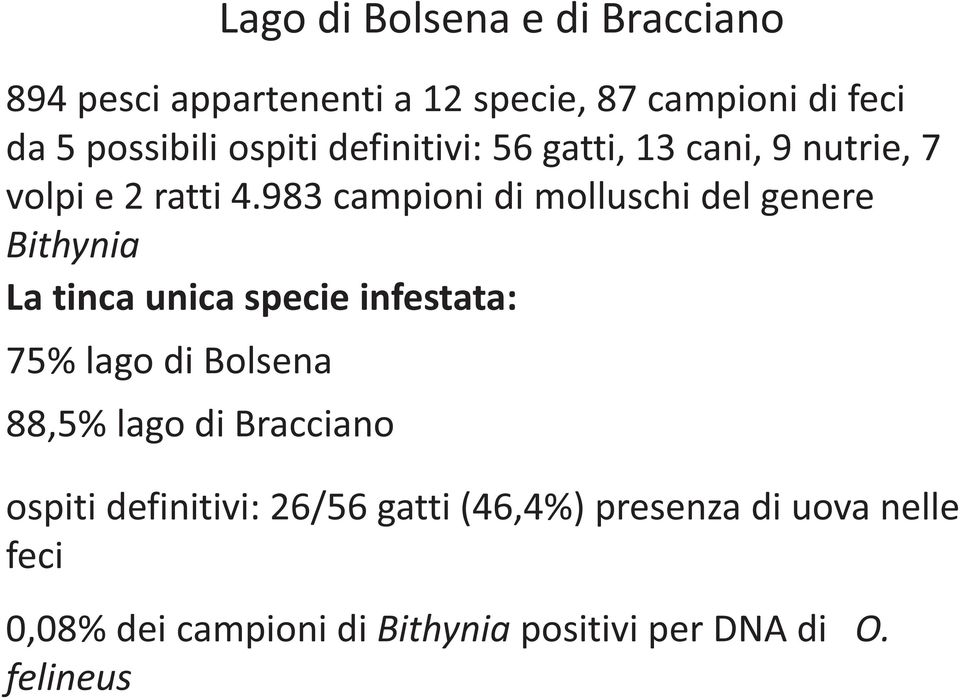 983 campioni di molluschi del genere Bithynia La tinca unica specie infestata: 75% lago di Bolsena 88,5%