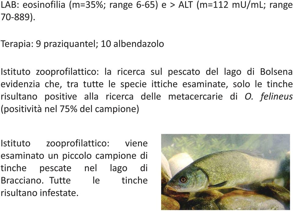 che, tra tutte le specie ittiche esaminate, solo le tinche risultano positive alla ricerca delle metacercarie di O.