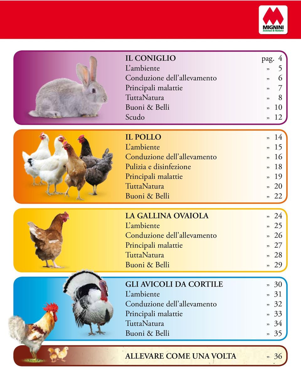 Conduzione dell allevamento 16 Pulizia e disinfezione 18 Principali malattie 19 TuttaNatura 20 Buoni & Belli 22 LA GALLINA OVAIOLA 24