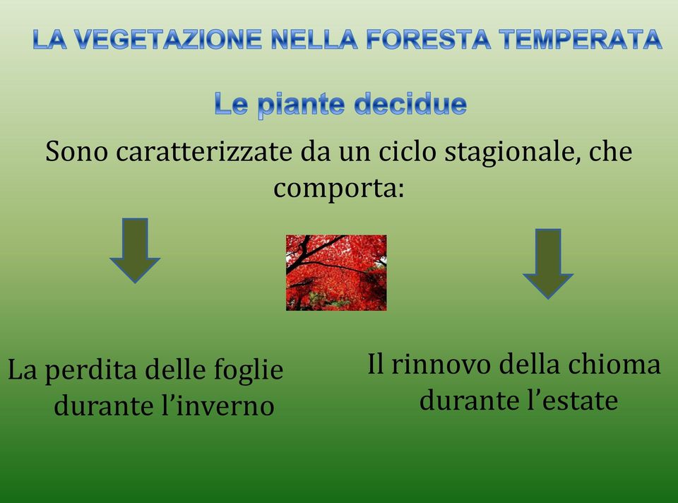 perdita delle foglie durante l