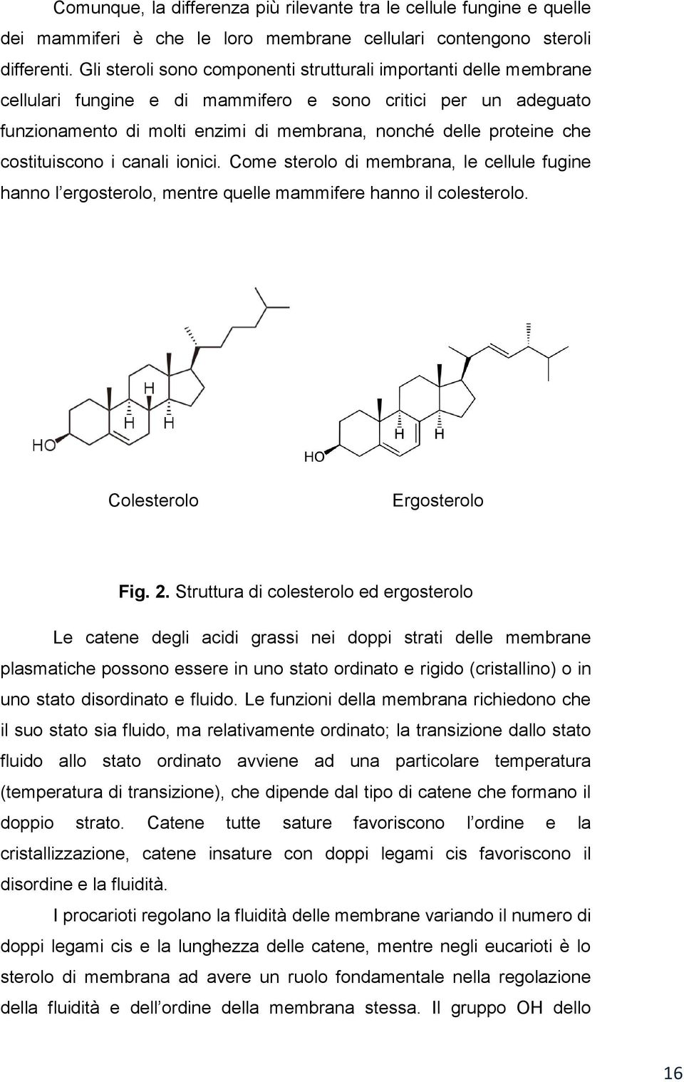 costituiscono i canali ionici. Come sterolo di membrana, le cellule fugine hanno l ergosterolo, mentre quelle mammifere hanno il colesterolo. Colesterolo Ergosterolo Fig. 2.