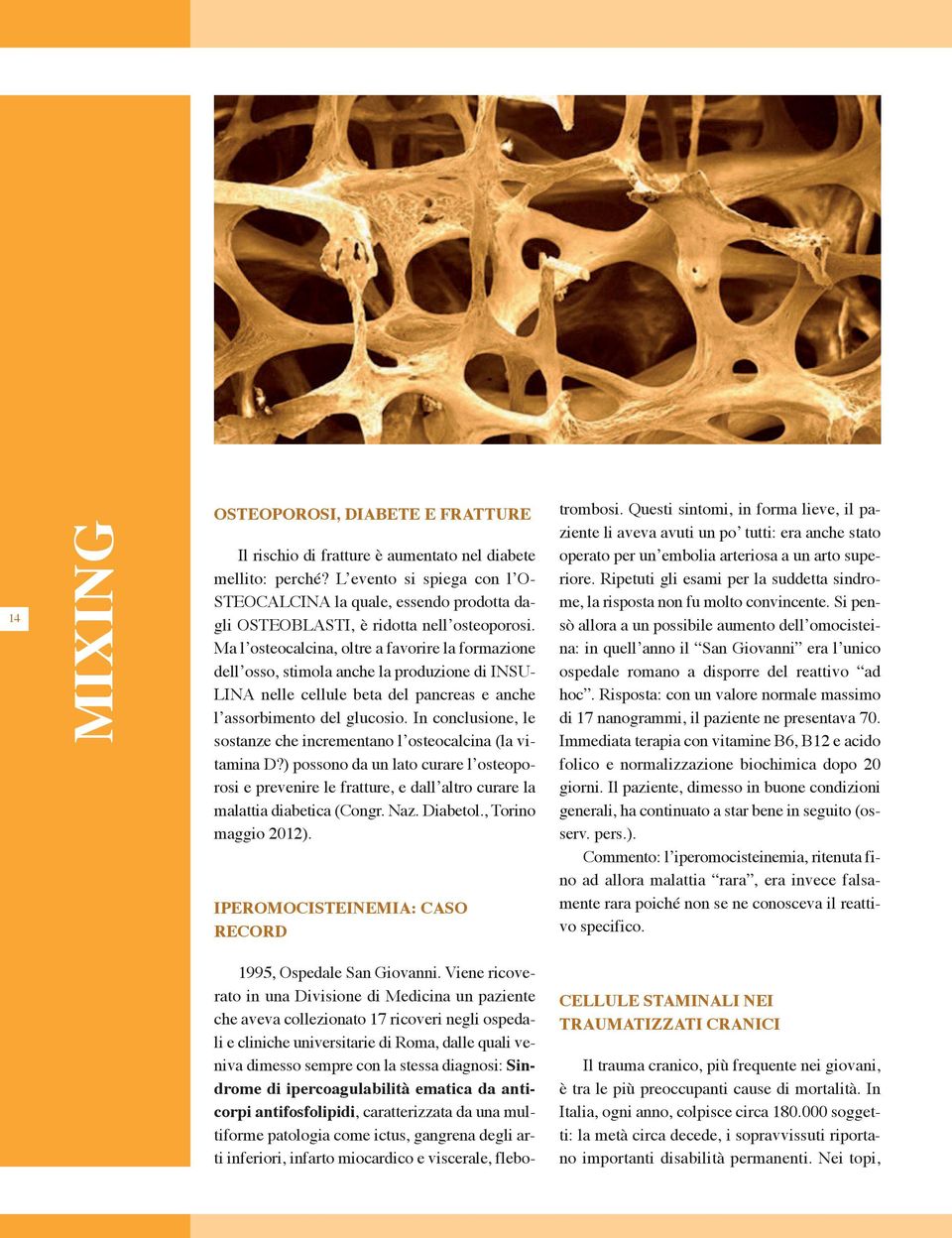 Ma l osteocalcina, oltre a favorire la formazione dell osso, stimola anche la produzione di INSU- LINA nelle cellule beta del pancreas e anche l assorbimento del glucosio.