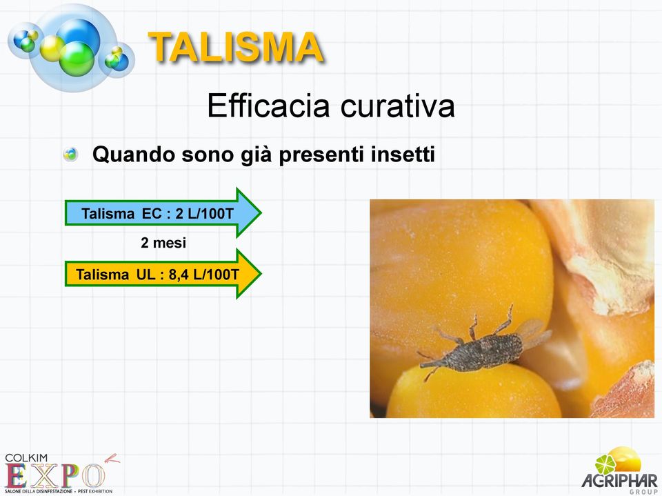 insetti Talisma EC : 2