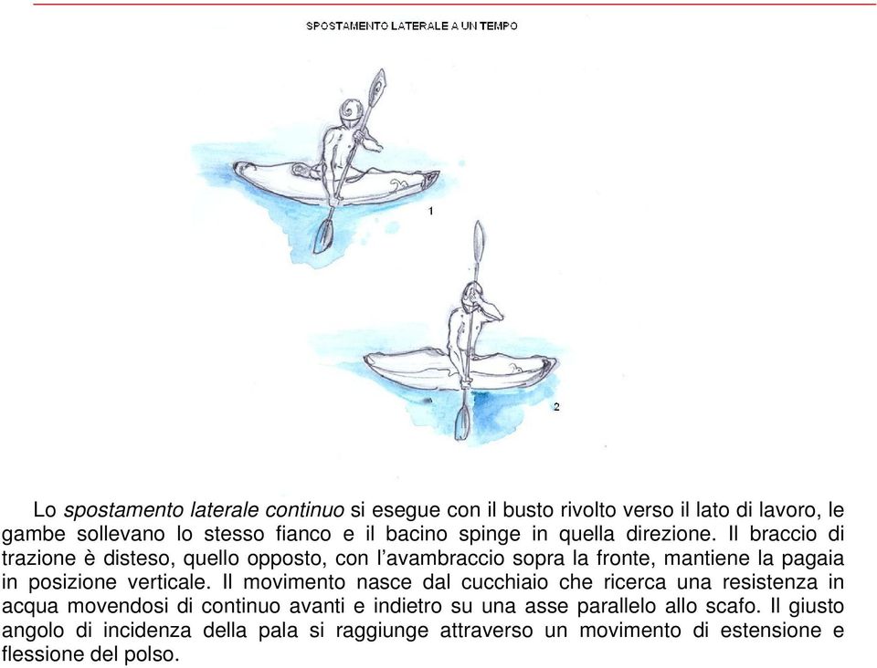 Il braccio di trazione è disteso, quello opposto, con l avambraccio sopra la fronte, mantiene la pagaia in posizione verticale.