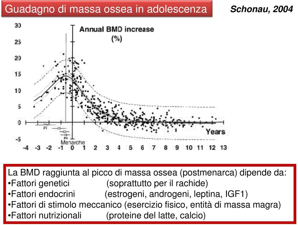 Fattori endocrini (estrogeni, androgeni, leptina, IGF1) Fattori di stimolo meccanico