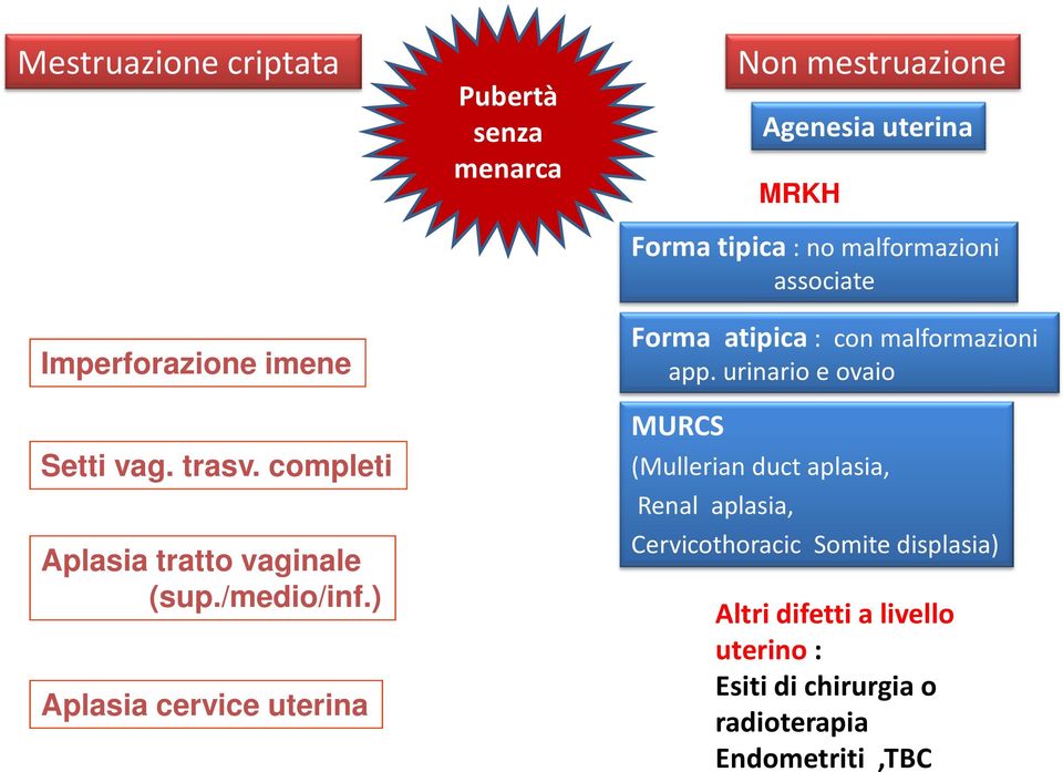 malformazioni associate Forma atipica : con malformazioni app.