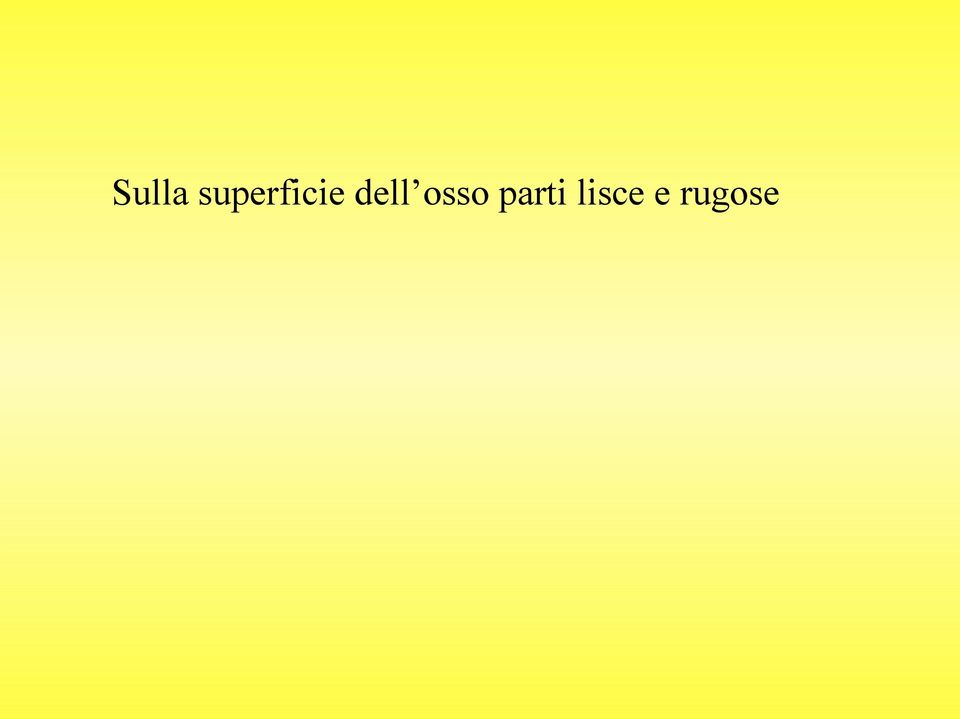 dell osso