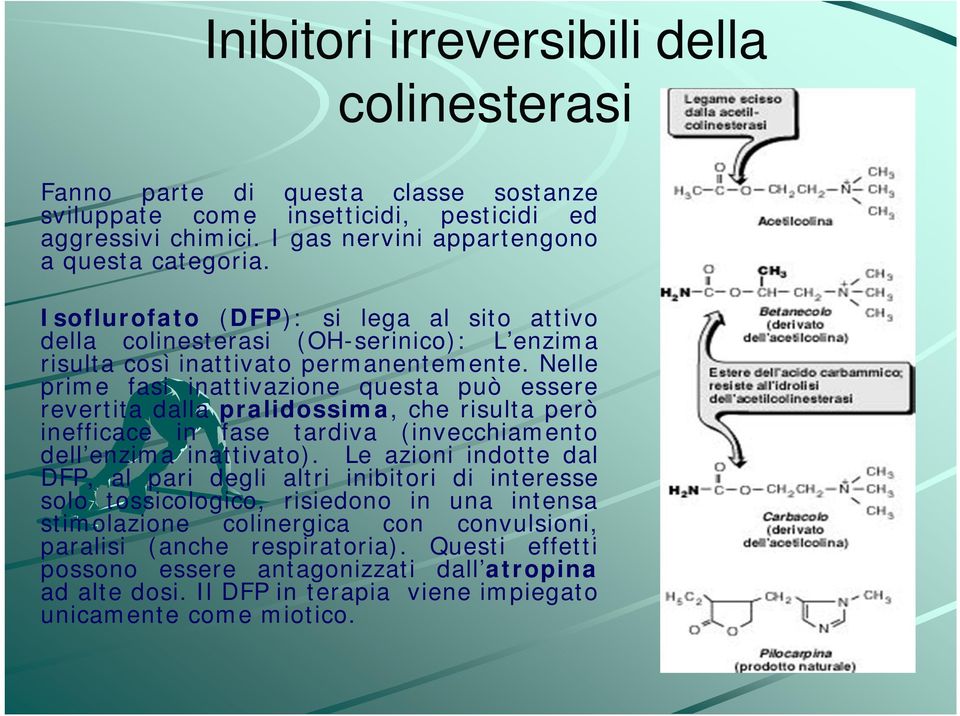 Nelle prime fasi inattivazione questa può essere revertita dalla pralidossima, che risulta però inefficace in fase tardiva (invecchiamento dell enzima inattivato).