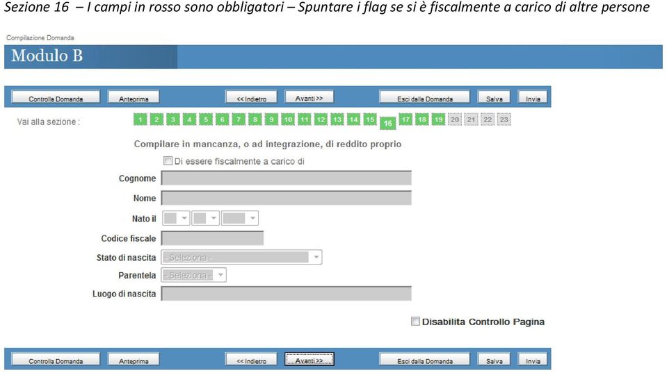 Spuntare i flag se si è