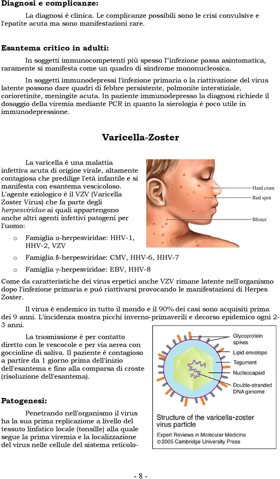 In sggetti immundepressi l'infezine primaria la riattivazine del virus latente pssn dare quadri di febbre persistente, plmnite interstiziale, criretinite, meningite acuta.