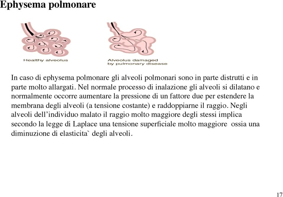 estendere la membrana degli alveoli (a tensione costante) e raddoppiarne il raggio.