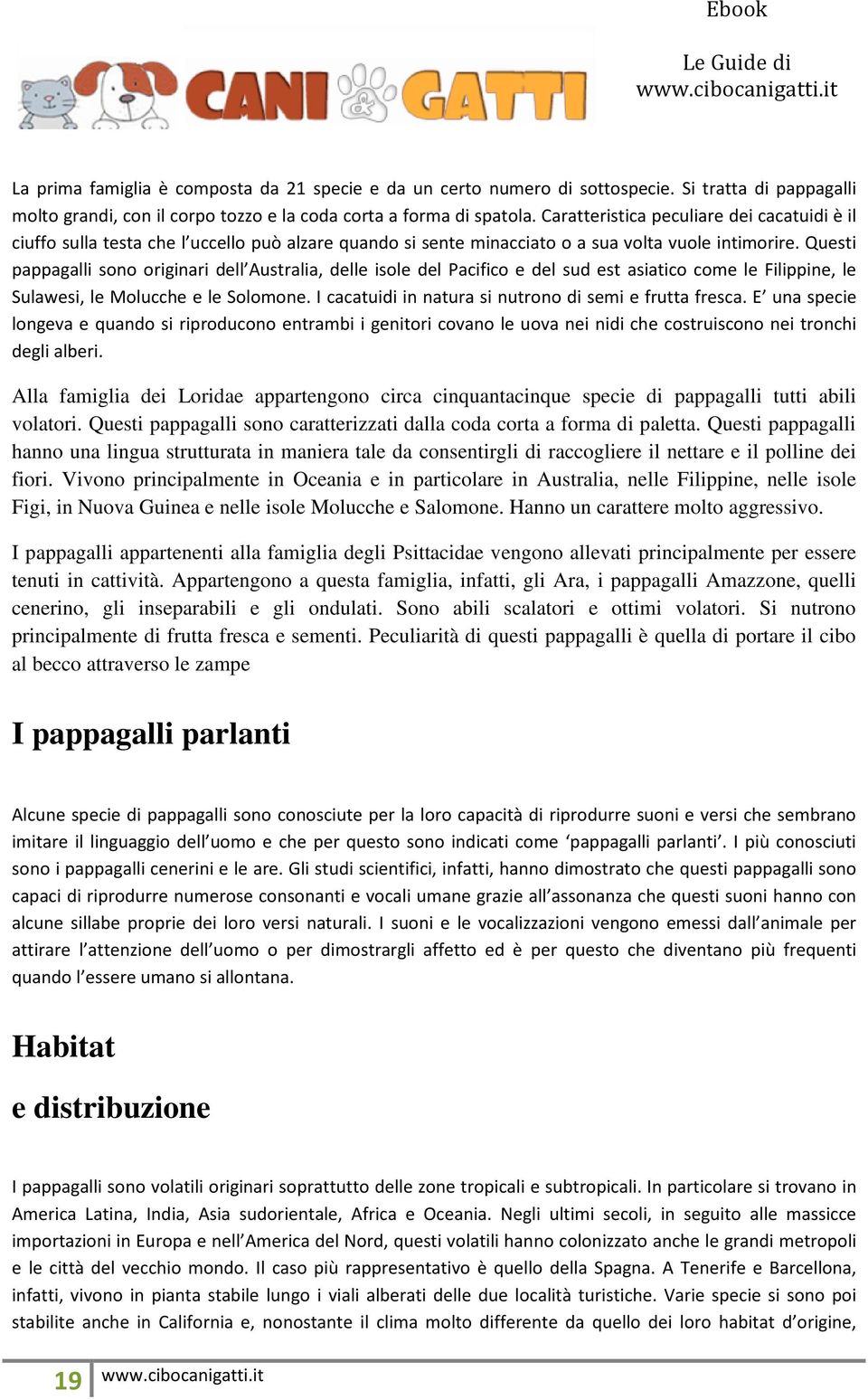 Questi pappagalli sono originari dell Australia, delle isole del Pacifico e del sud est asiatico come le Filippine, le Sulawesi, le Molucche e le Solomone.