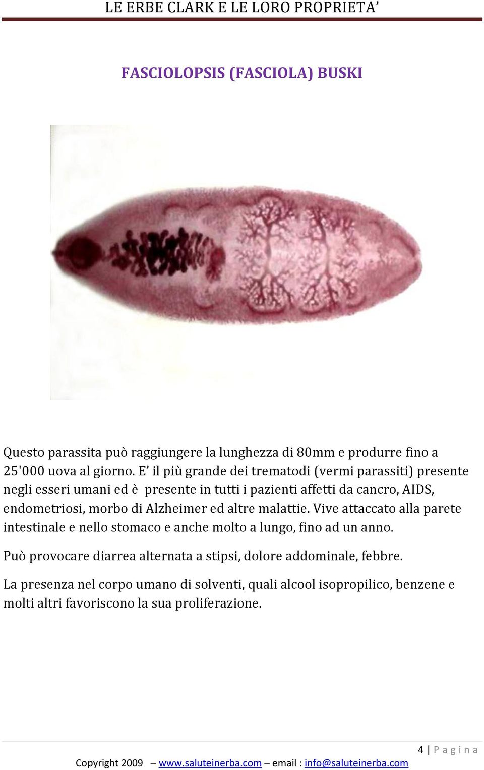 morbo di Alzheimer ed altre malattie. Vive attaccato alla parete intestinale e nello stomaco e anche molto a lungo, fino ad un anno.