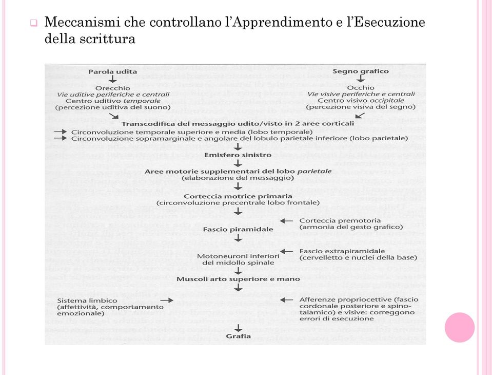 Apprendimento e l