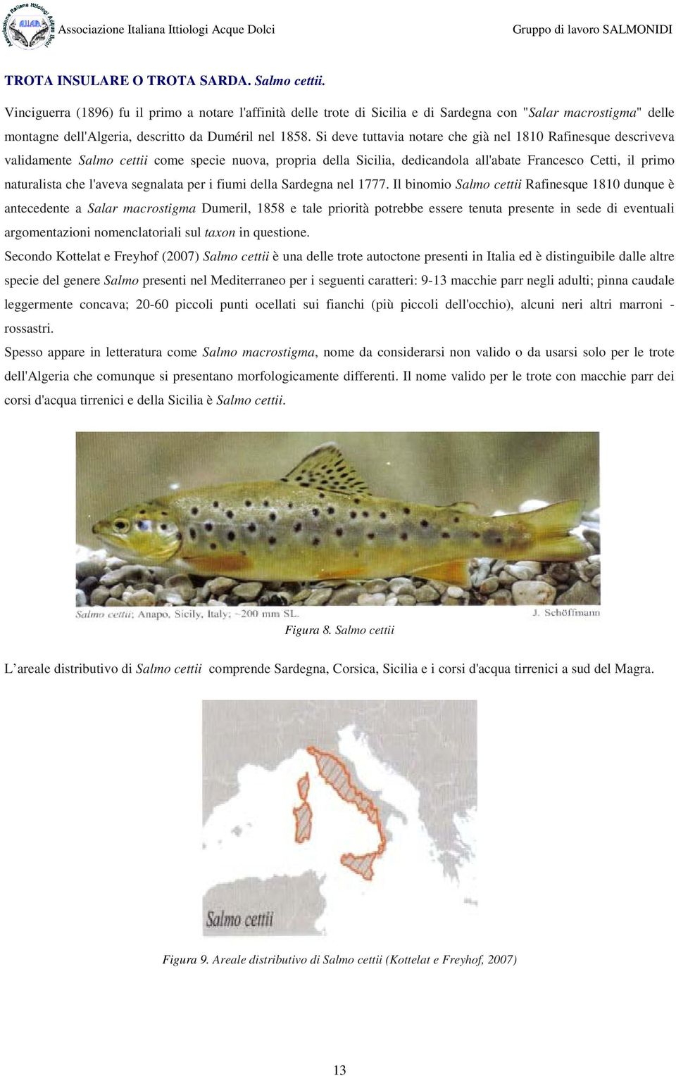 Si deve tuttavia notare che già nel 1810 Rafinesque descriveva validamente Salmo cettii come specie nuova, propria della Sicilia, dedicandola all'abate Francesco Cetti, il primo naturalista che