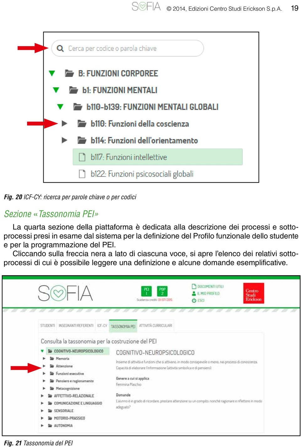 descrizione dei processi e sottoprocessi presi in esame dal sistema per la definizione del Profilo funzionale dello studente e per la