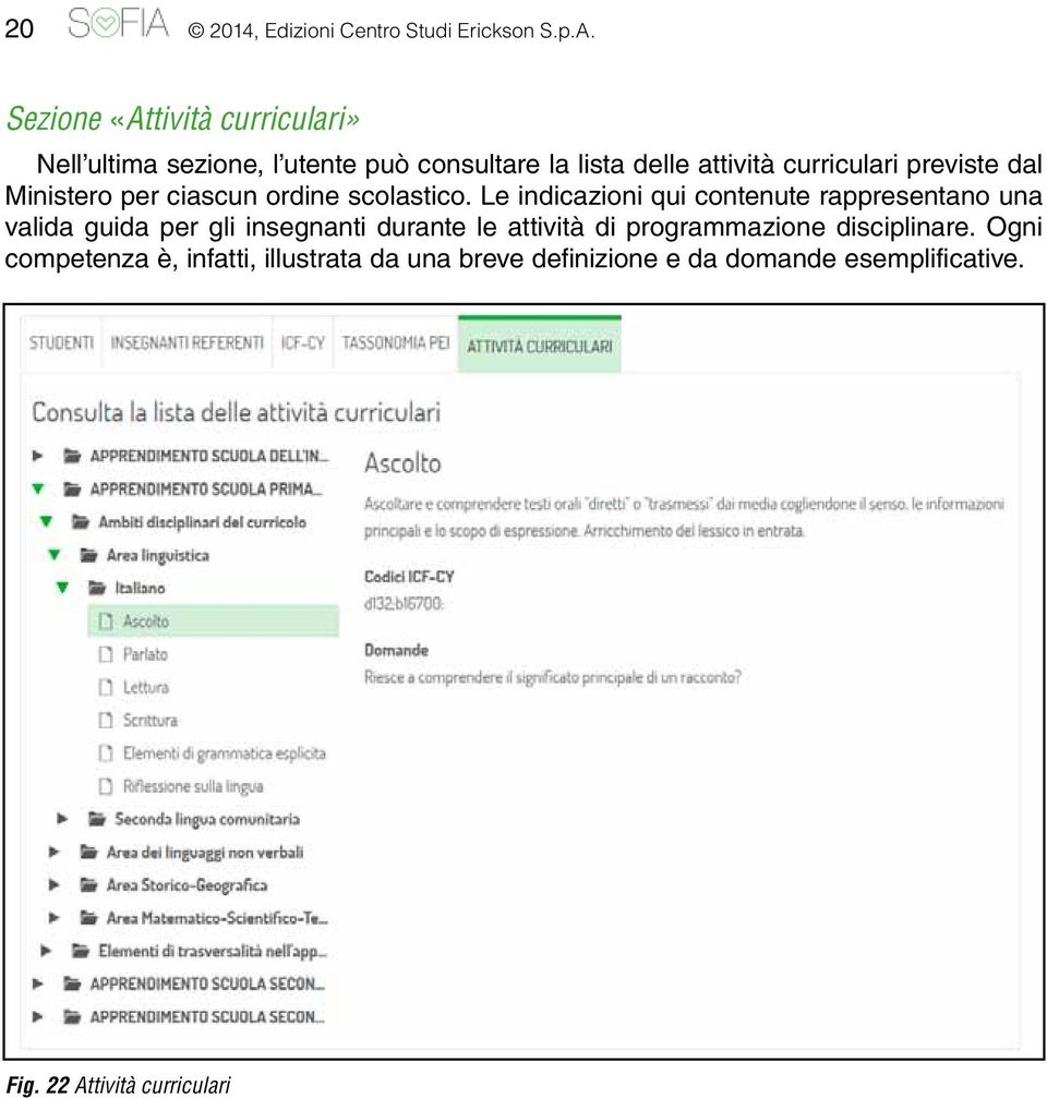 previste dal Ministero per ciascun ordine scolastico.