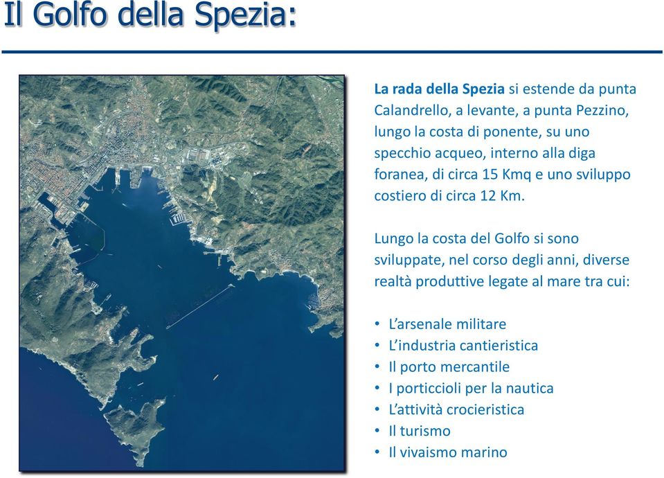 Lungo la costa del Golfo si sono sviluppate, nel corso degli anni, diverse realtà produttive legate al mare tra cui: L