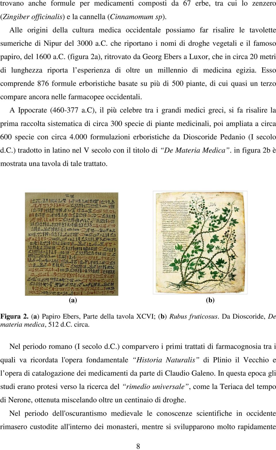 Esso comprende 876 formule erboristiche basate su più di 500 piante, di cui quasi un terzo compare ancora nelle farmacopee occidentali. A Ippocrate (460-377 a.
