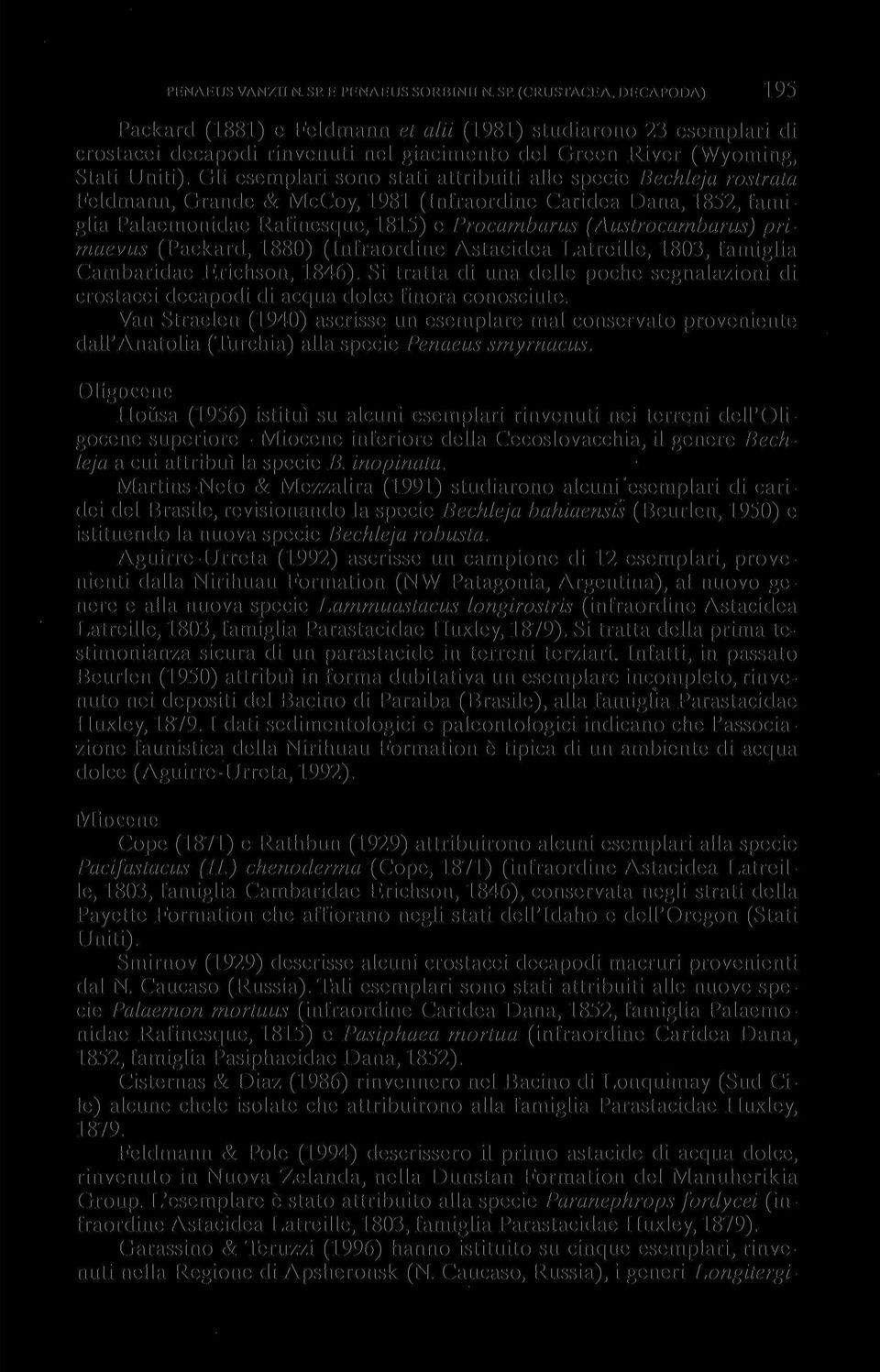 Gli esemplari sono stati attribuiti alle specie Bechleja rostrata Feldmann, Grande & McCoy, 1981 (Infraordine Caridea Dana, 1852, famiglia Palaemonidae Rafinesque, 181.