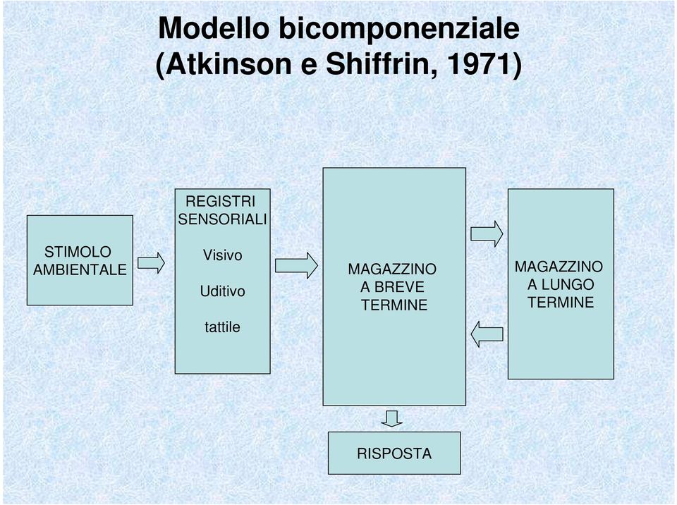 AMBIENTALE Visivo Uditivo tattile MAGAZZINO