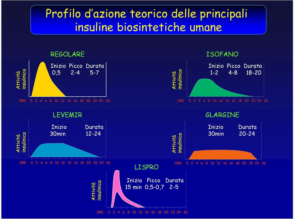 24 26 LEVEMIR Inizio Durata 30min 12-24 GLARGINE Inizio Durata 30min 20-24 ORE 0 2 4 6 8 10 12 14 16 18 20 22 24 26