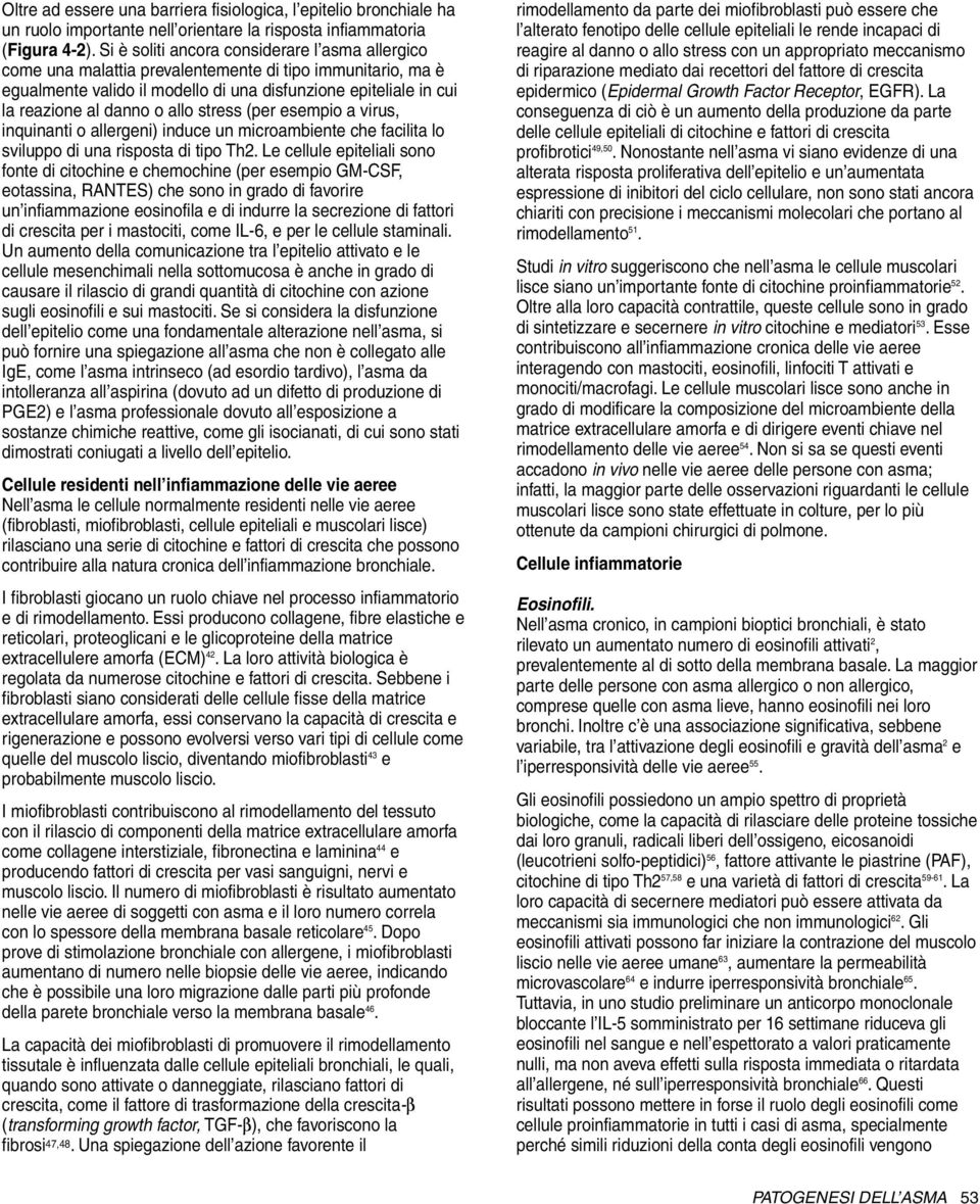 allo stress (per esempio a virus, inquinanti o allergeni) induce un microambiente che facilita lo sviluppo di una risposta di tipo Th2.