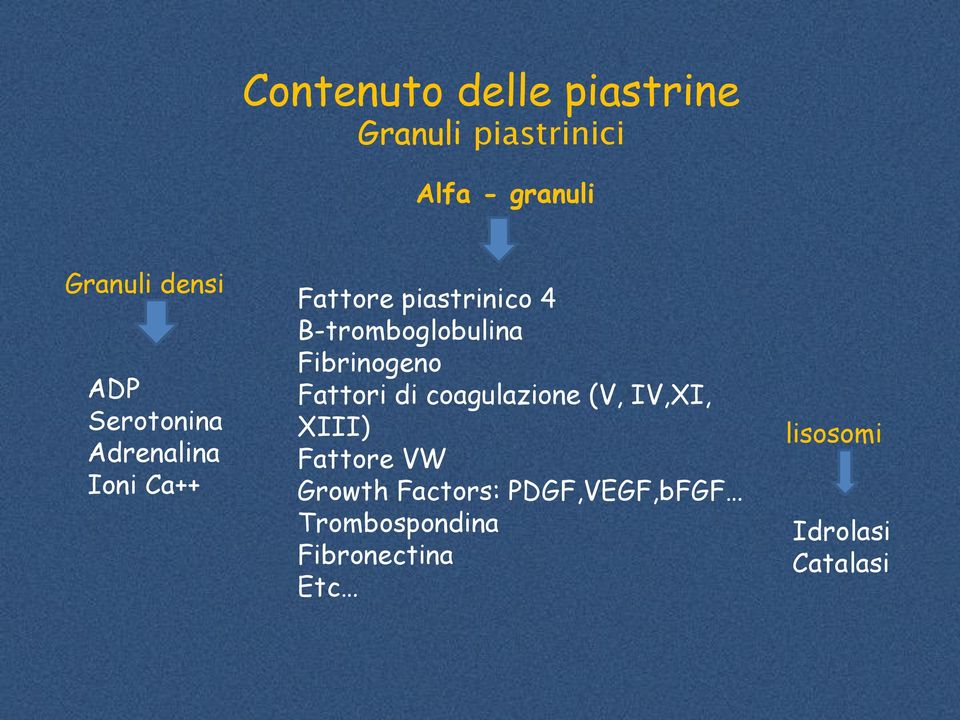 Fibrinogeno Fattori di coagulazione (V, IV,XI, XIII) Fattore VW Growth