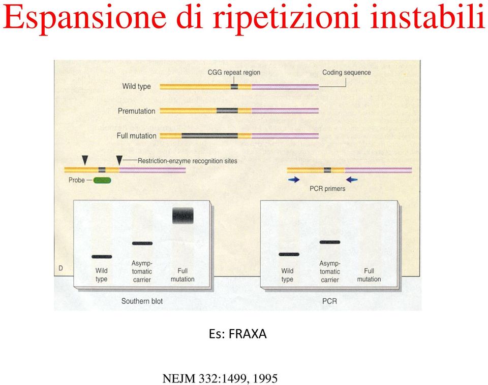 instabili Es: