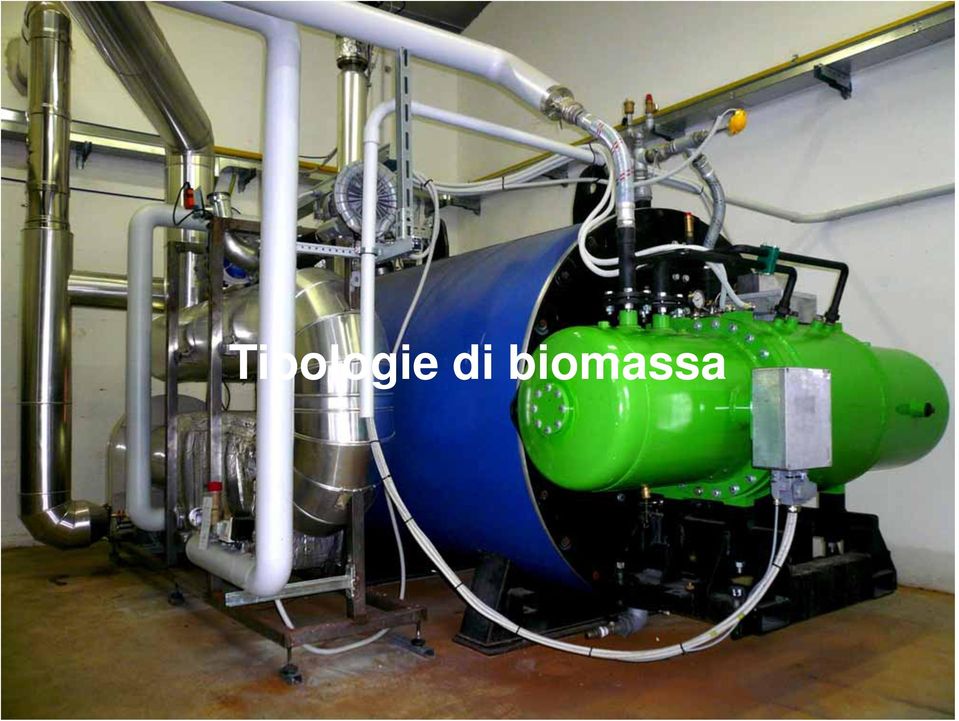 biomassa