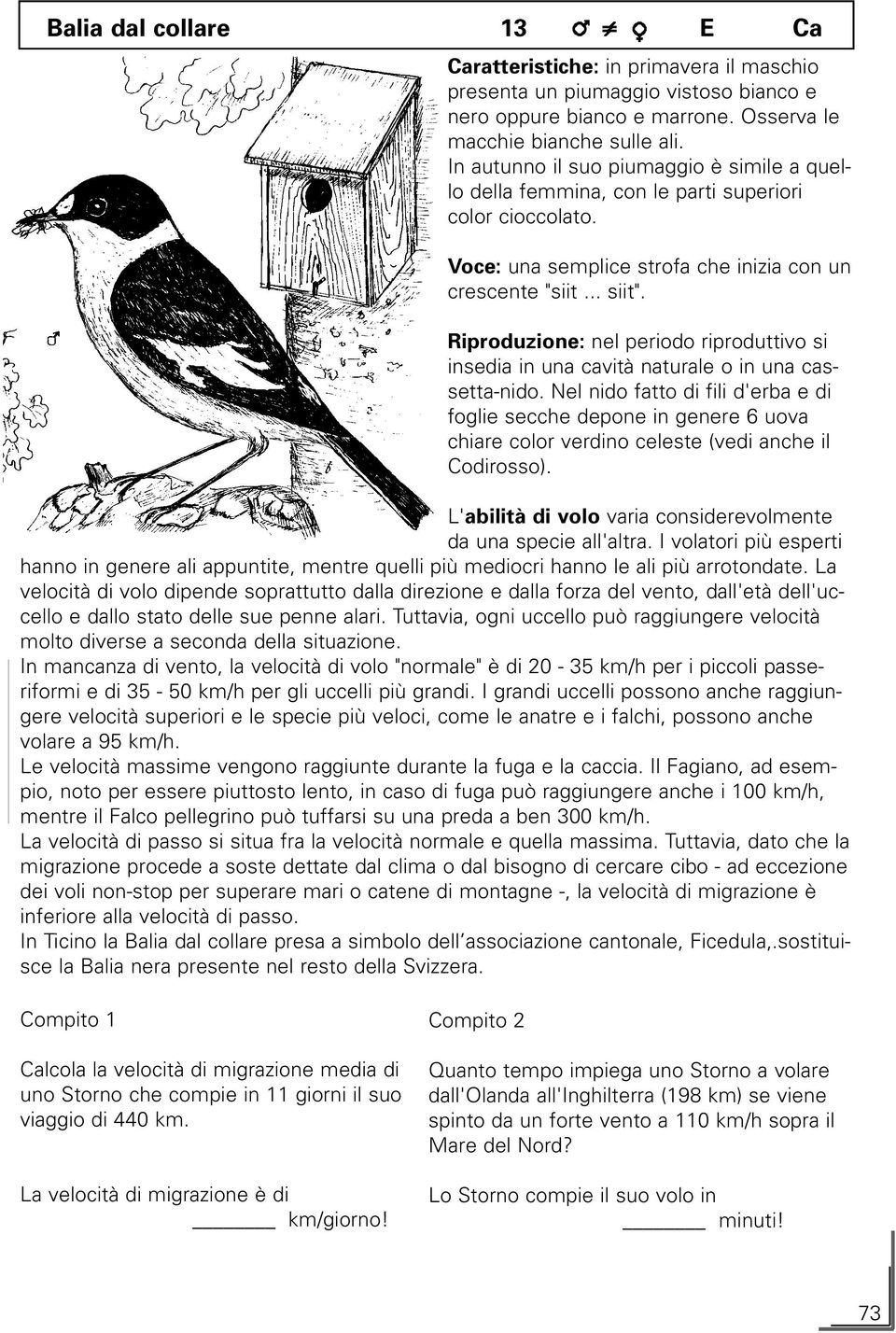 Riproduzione: nel periodo riproduttivo si insedia in una cavità naturale o in una cassetta-nido.