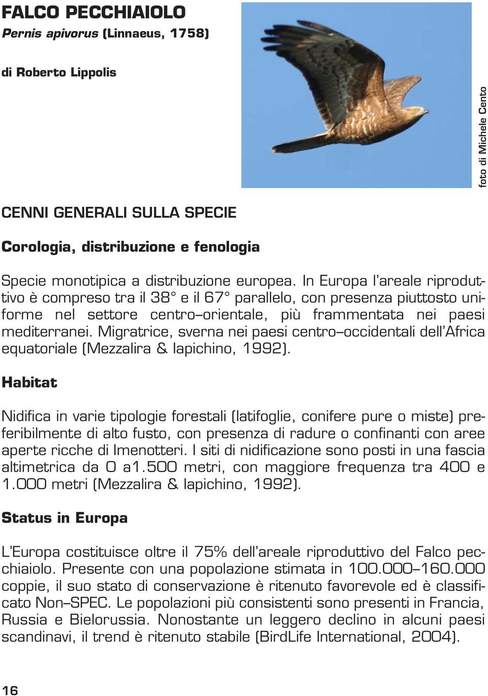 Migratrice, sverna nei paesi centro occidentali dell Africa equatoriale (Mezzalira & Iapichino, 1992).