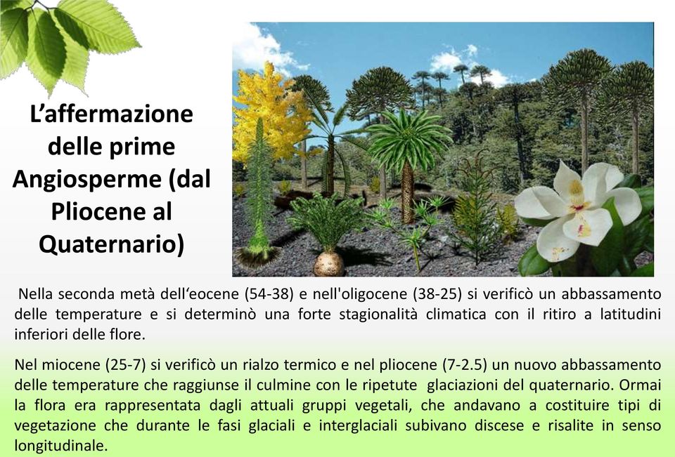 Nel miocene (25-7) si verificò un rialzo termico e nel pliocene (7-2.