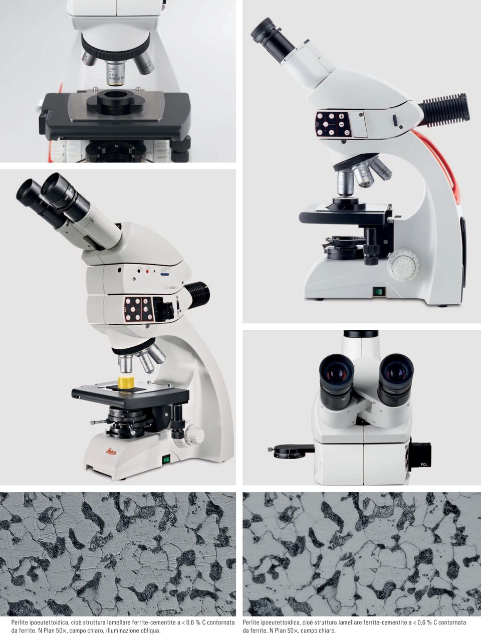 N Plan 50, campo chiaro, illuminazione obliqua.