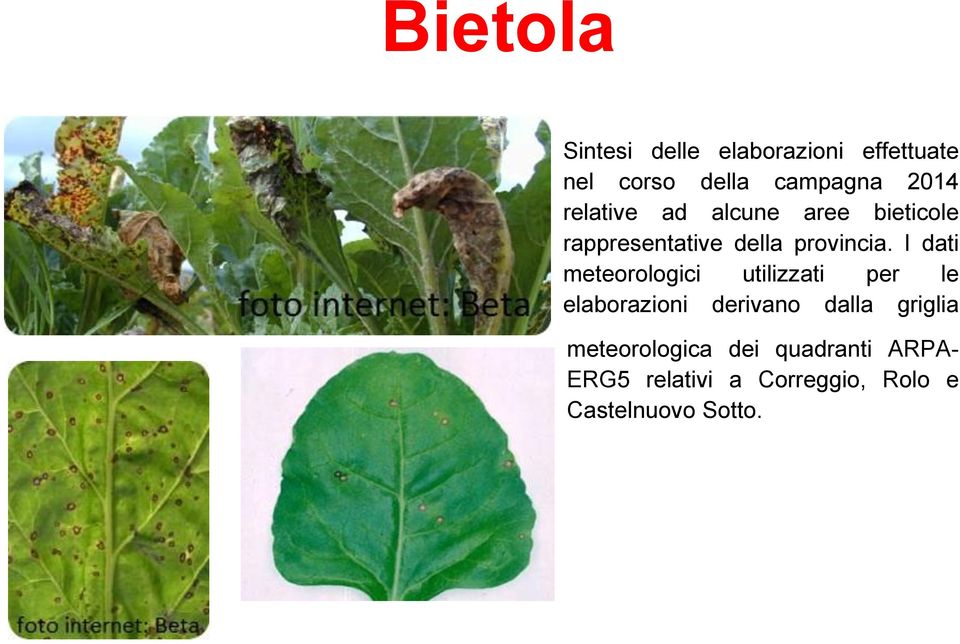 I dati meteorologici utilizzati per le elaborazioni derivano dalla griglia