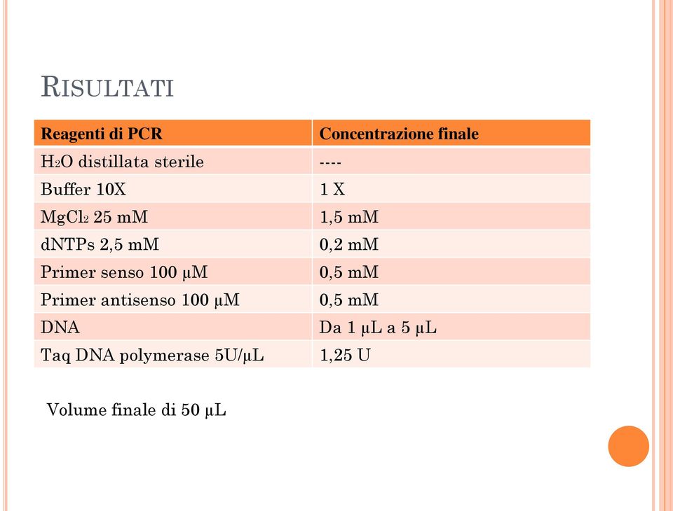 mm Primer senso 100 µm 0,5 mm Primer antisenso 100 µm 0,5 mm DNA