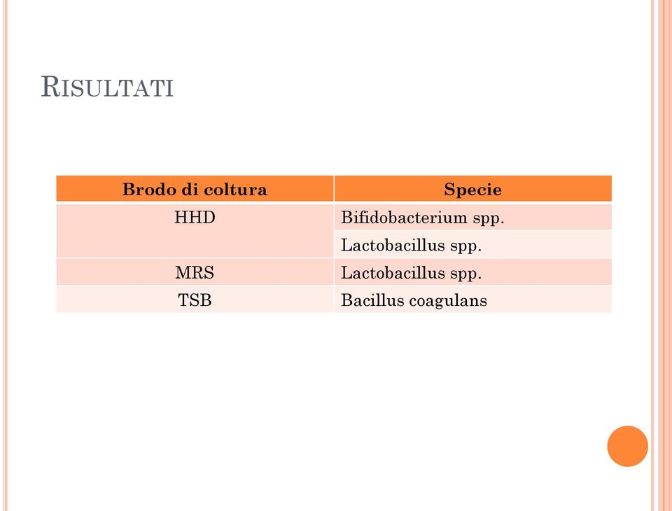 spp. Lactobacillus spp.