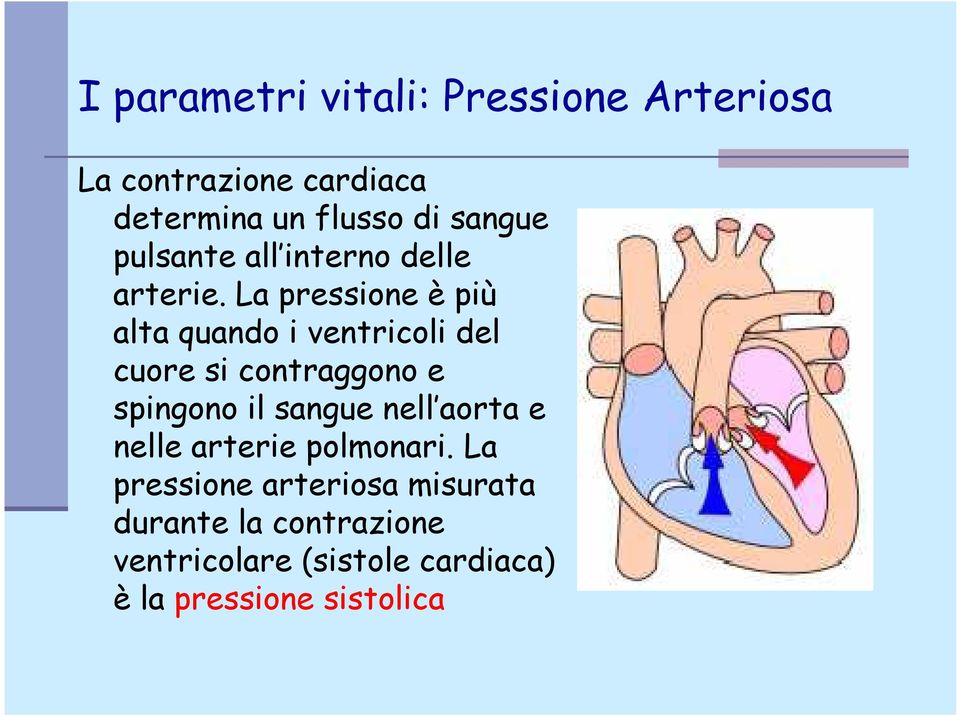 La pressione è più alta quando i ventricoli del cuore si contraggono e spingono il sangue