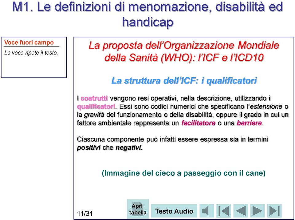 Essi sono codici numerici che specificano l estensione o la gravità del funzionamento o della disabilità, oppure il grado in