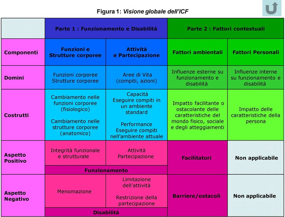 Cambiamento nelle funzioni corporee (fisiologico) Cambiamento nelle strutture corporee (anatomico) Capacità Eseguire compiti in un ambiente standard Performance Eseguire compiti nell ambiente attuale