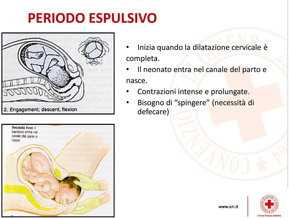 Il neonato entra nel canale del parto e nasce.