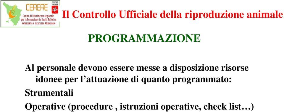 attuazione di quanto programmato: Strumentali