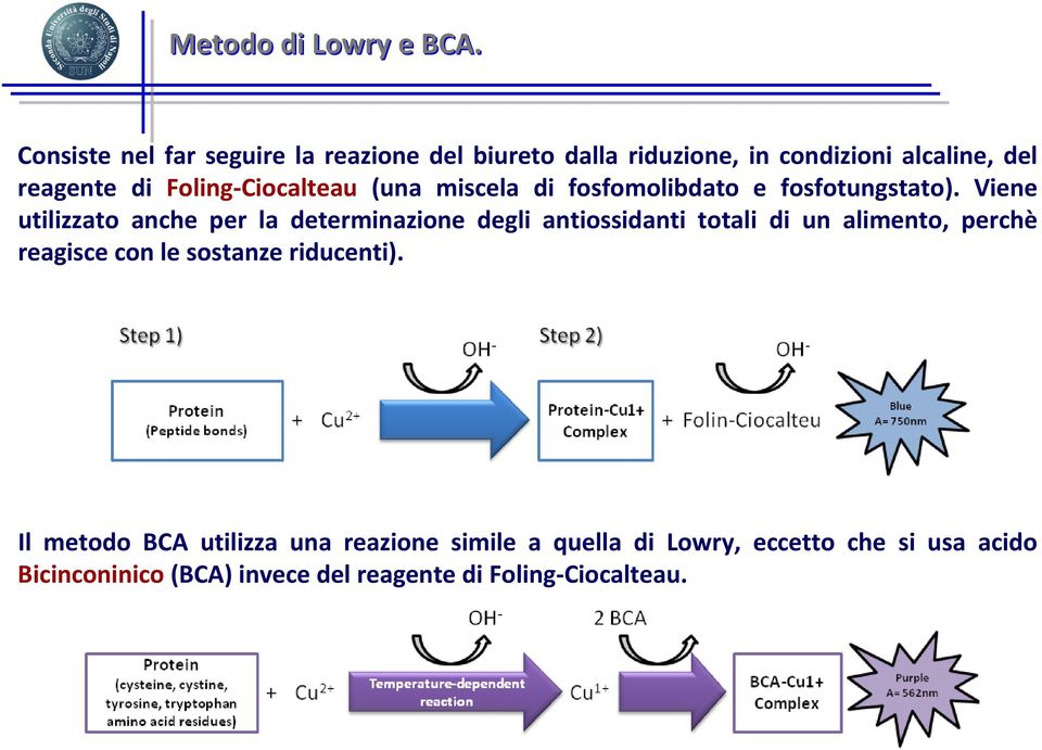 Foling-Ciocalteau (una miscela di fosfomolibdato e fosfotungstato).