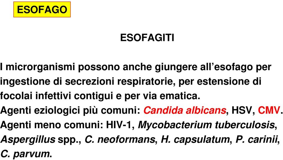 Agenti eziologici più comuni: Candida albicans, HSV, CMV.