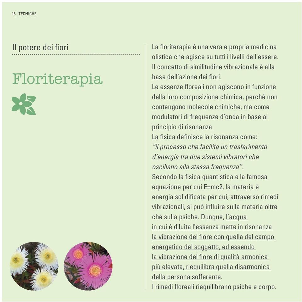 Le essenze floreali non agiscono in funzione della loro composizione chimica, perché non contengono molecole chimiche, ma come modulatori di frequenze d onda in base al principio di risonanza.