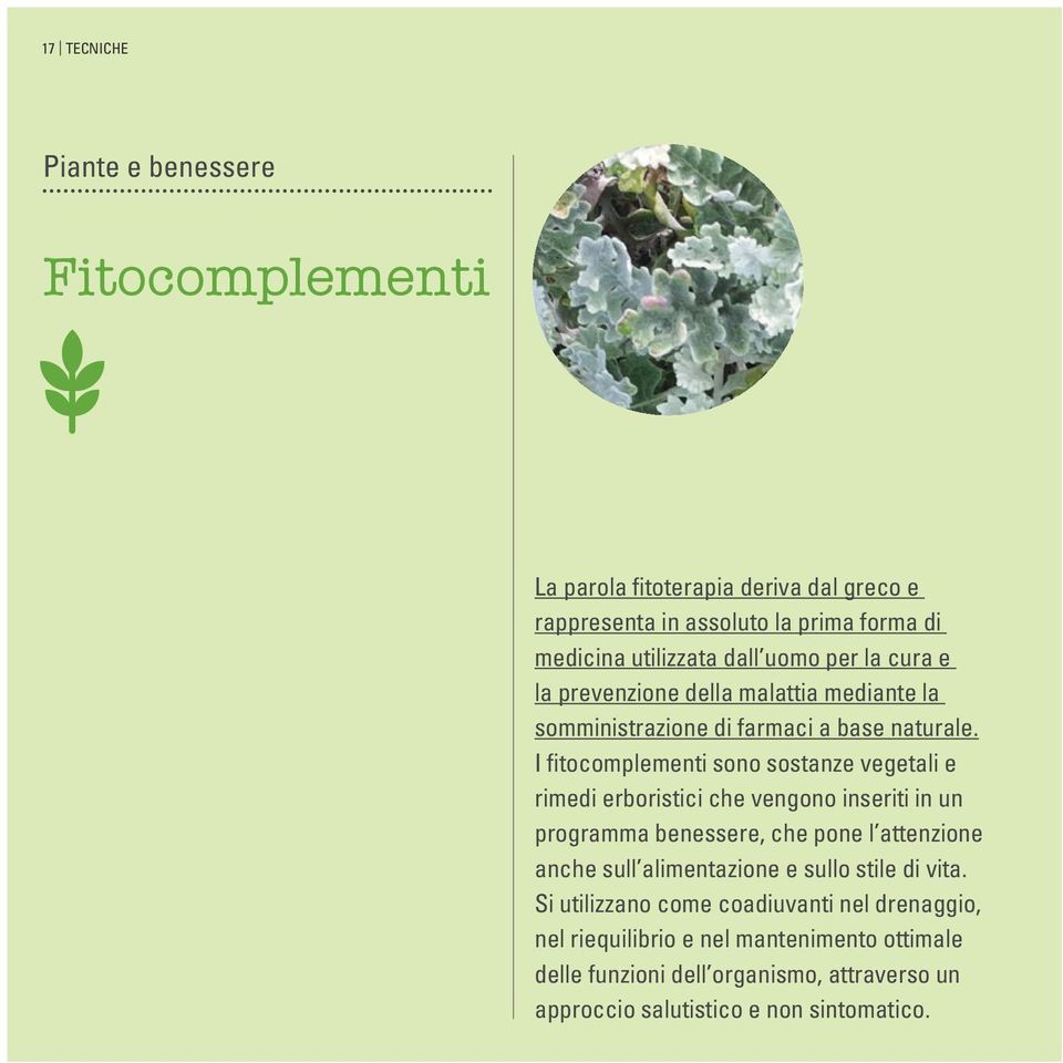 I fitocomplementi sono sostanze vegetali e rimedi erboristici che vengono inseriti in un programma benessere, che pone l attenzione anche sull